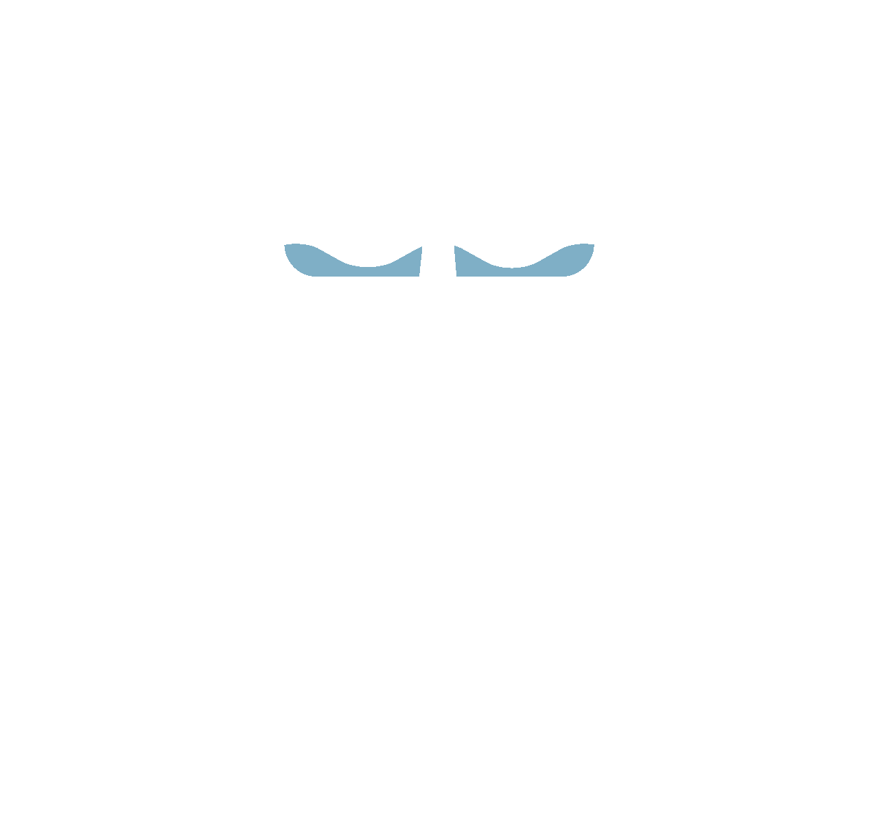 Malibu Ski League